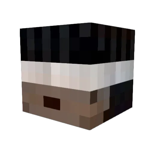 Brianishere067 Minecraft avatar head, 3D render