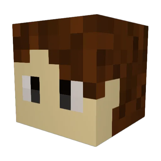 Brianna119 Minecraft avatar head, 3D render