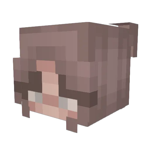 Brianna224 Minecraft avatar head, 3D render