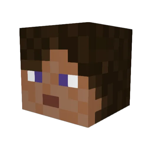 Brianna2 Minecraft avatar head, 3D render