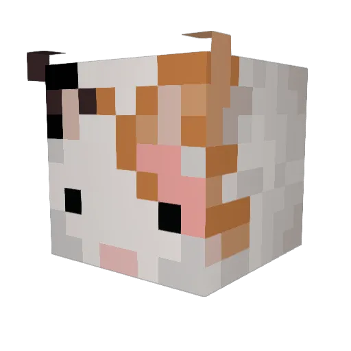 Briannasplit Minecraft avatar head, 3D render