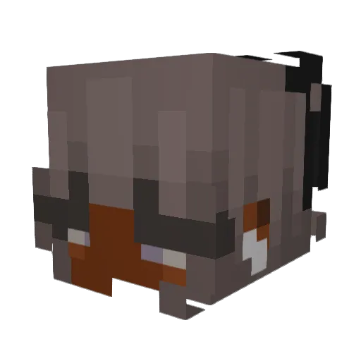 Brianuuhhh Minecraft avatar head, 3D render