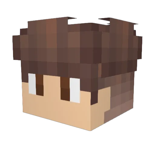 BriarRoot22 Minecraft avatar head, 3D render