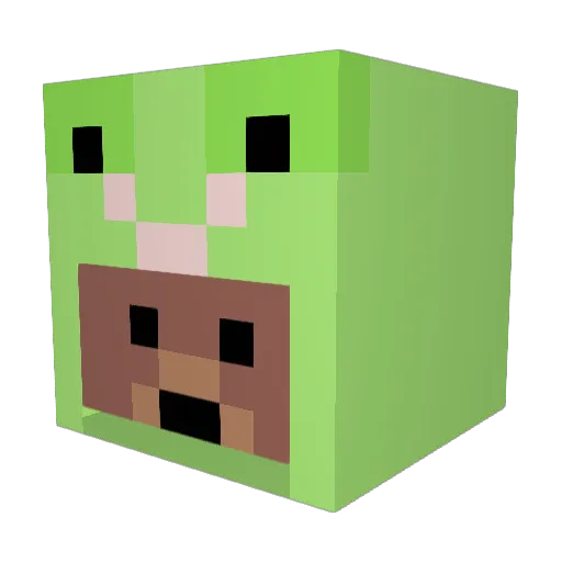 Bribbit_ Minecraft avatar head, 3D render