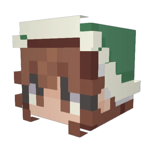 Bribrip1 Minecraft avatar head, 3D render