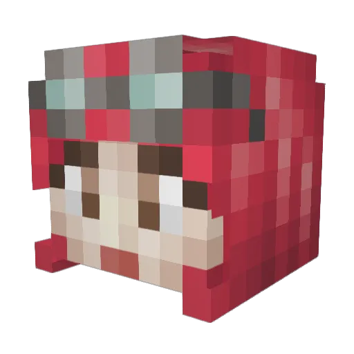 Bricakes1543 Minecraft avatar head, 3D render