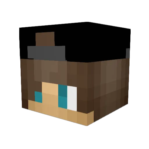 BrickBuilder495 Minecraft avatar head, 3D render