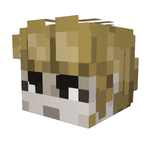 BrickJuice23 Minecraft avatar head, 3D render