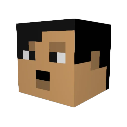 BrickLayer716 Minecraft avatar head, 3D render