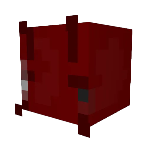 BrickNinja5524 Minecraft avatar head, 3D render