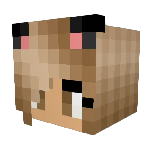 BrickTeeth Minecraft avatar head, 3D render