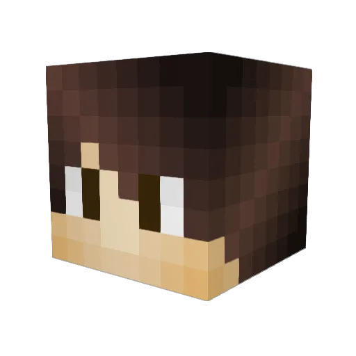 Brickmaster0526 Minecraft avatar head, 3D render