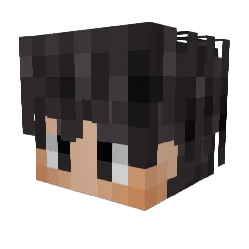 BrickyTurtle00 Minecraft avatar head, 3D render