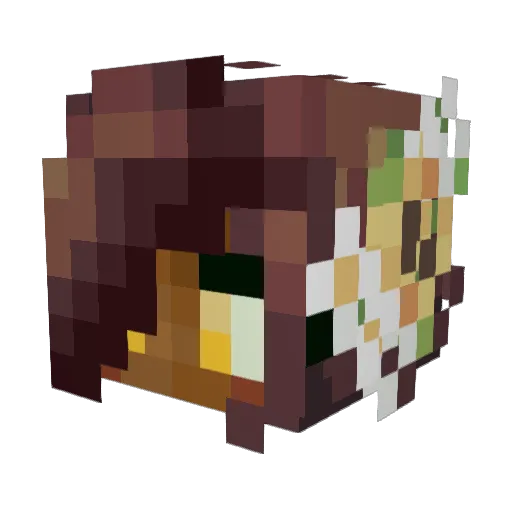 Briclair Minecraft avatar head, 3D render