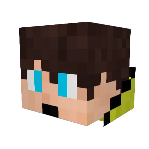 Bricord1 Minecraft avatar head, 3D render