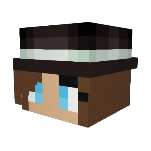 Brid03 Minecraft avatar head, 3D render