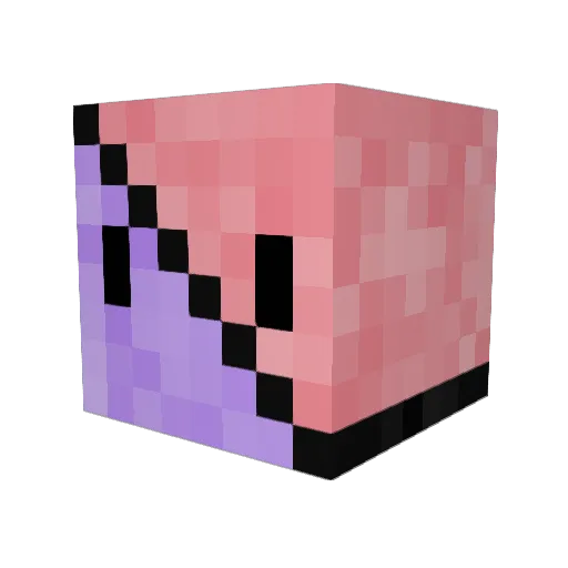 BridBiss Minecraft avatar head, 3D render