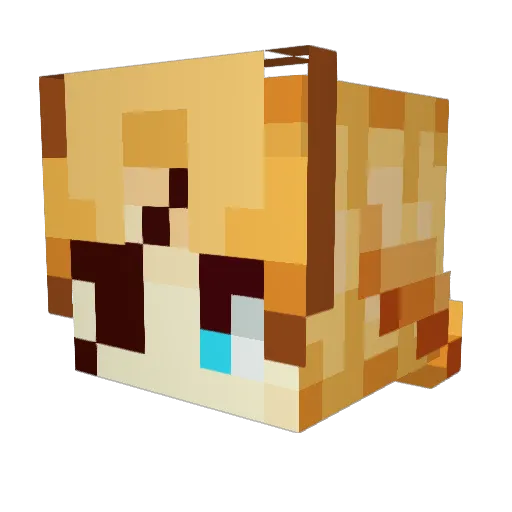 BriddCaelan_ Minecraft avatar head, 3D render