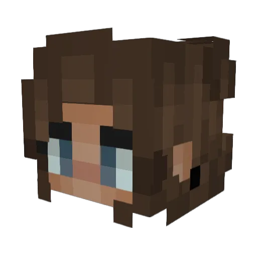 Briddy Minecraft avatar head, 3D render