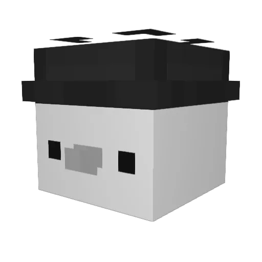BridgeDuckes Minecraft avatar head, 3D render