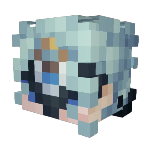 Bridgekidd Minecraft avatar head, 3D render