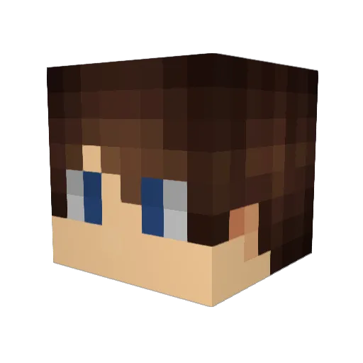 BridlingMars391 Minecraft avatar head, 3D render