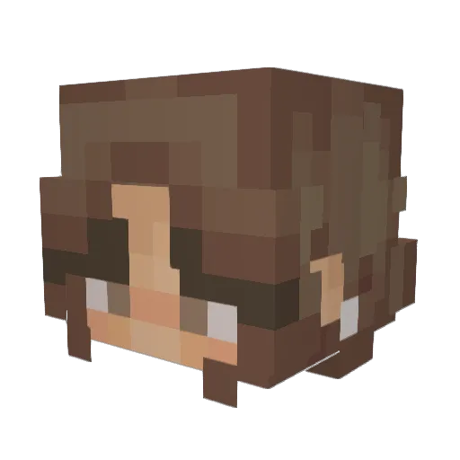 Brie14 Minecraft avatar head, 3D render