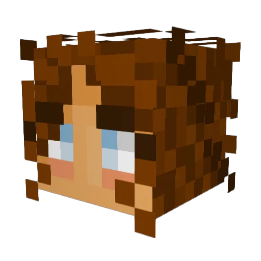 BrieBrie022 Minecraft avatar head, 3D render
