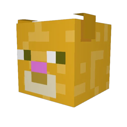 BriePak Minecraft avatar head, 3D render