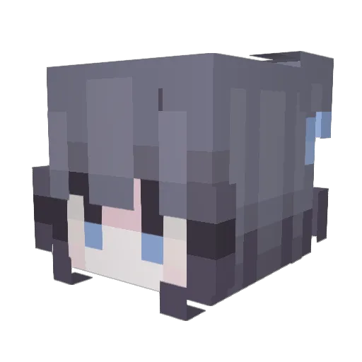 BriefLate660 Minecraft avatar head, 3D render