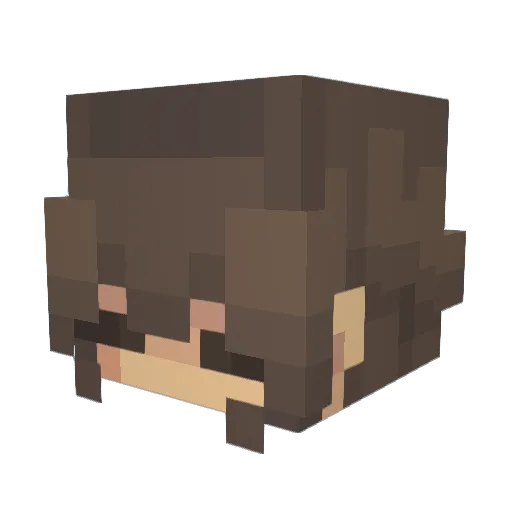 BrieferSinger10 Minecraft avatar head, 3D render
