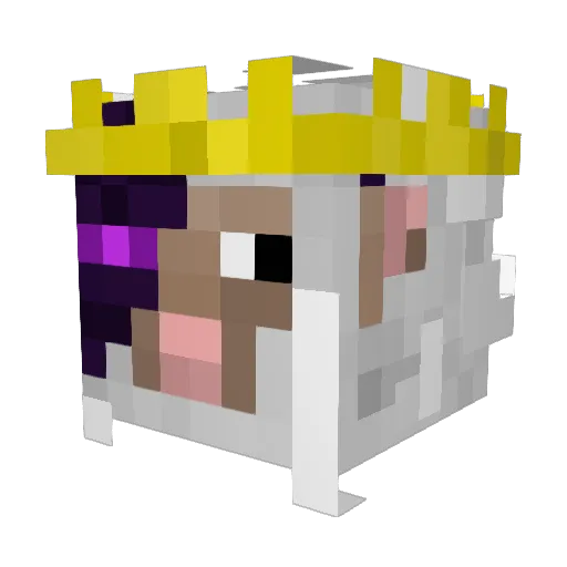 Briek758 Minecraft avatar head, 3D render