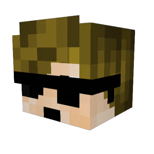 Brielan_ Minecraft avatar head, 3D render