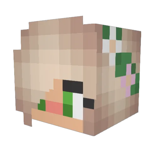 Brietta Minecraft avatar head, 3D render