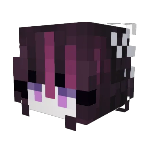 Bright0524 Minecraft avatar head, 3D render