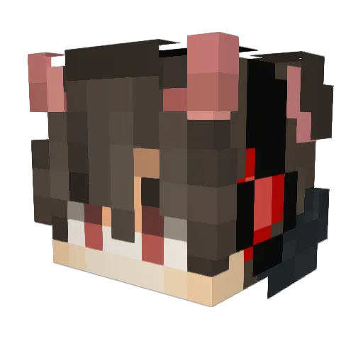 Bright2425 Minecraft avatar head, 3D render