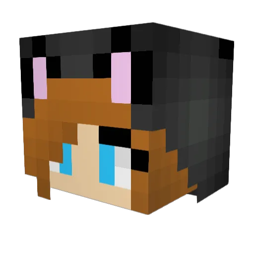 BrightMoon210 Minecraft avatar head, 3D render