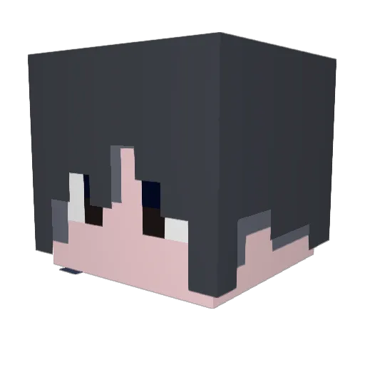 BrightNGNL Minecraft avatar head, 3D render