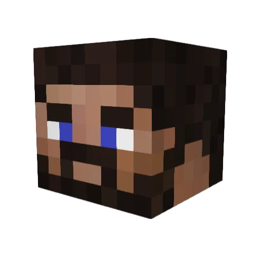 BrightShadow27 Minecraft avatar head, 3D render