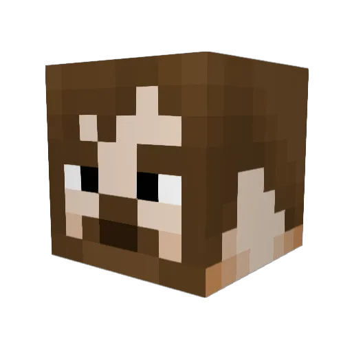 BrightSkys Minecraft avatar head, 3D render