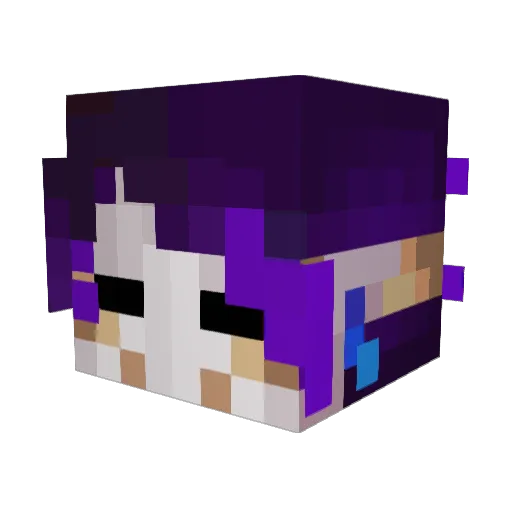 BrightStars200 Minecraft avatar head, 3D render