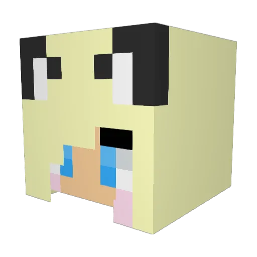 BrightWorgan Minecraft avatar head, 3D render