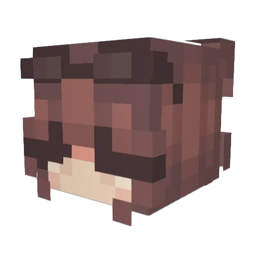 Brightballoon10 Minecraft avatar head, 3D render