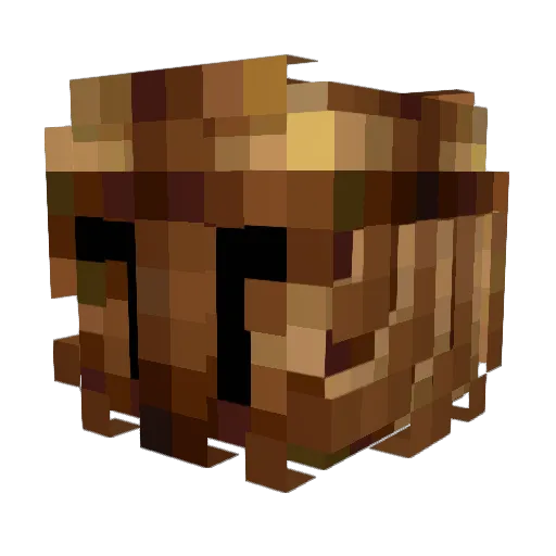 Brightflame1301 Minecraft avatar head, 3D render