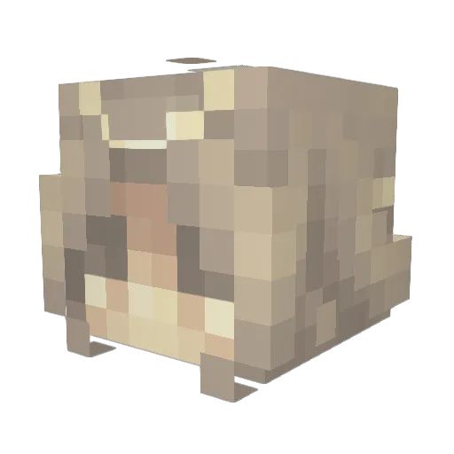 Brightlady Minecraft avatar head, 3D render