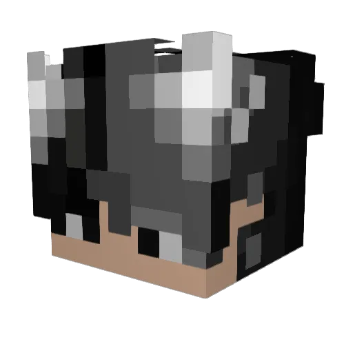 Brightlights758 Minecraft avatar head, 3D render