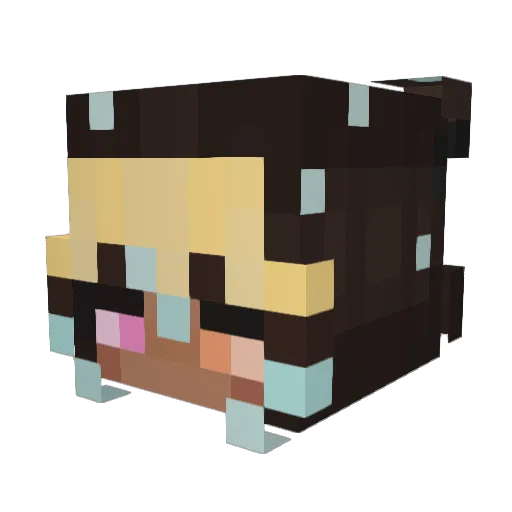 Brightligts Minecraft avatar head, 3D render