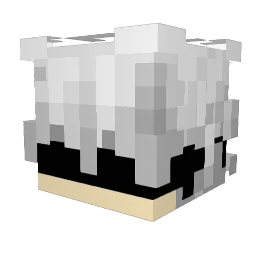 Brightn3ss56465 Minecraft avatar head, 3D render