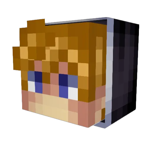 Briiaan Minecraft avatar head, 3D render