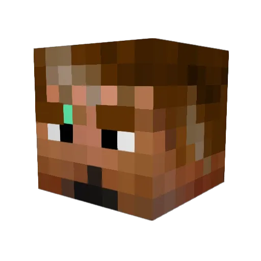 Briidelight Minecraft avatar head, 3D render